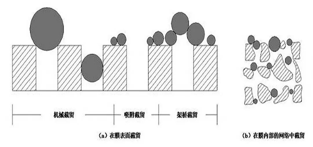 微濾技術(shù)原理