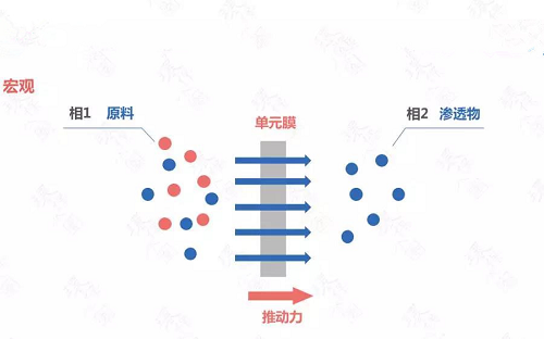 膜分離技術(shù)